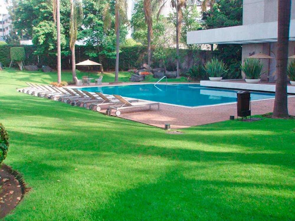 Royal Pedregal Hotel เม็กซิโกซิตี้ ภายนอก รูปภาพ The swimming pool at the hotel