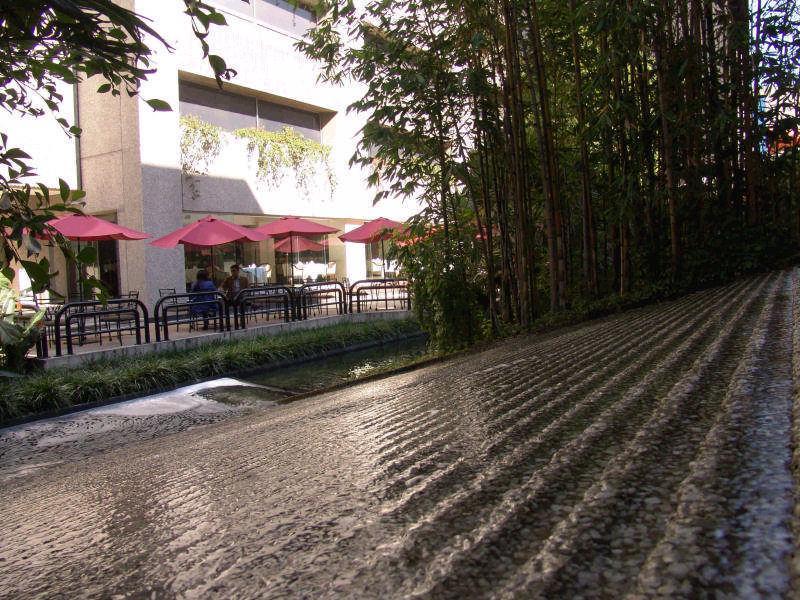 Royal Pedregal Hotel เม็กซิโกซิตี้ ภายนอก รูปภาพ The path of the former railway line is now a cycle path.